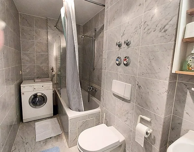 Bathroom with a bath and shower, toilet, and washing machine.