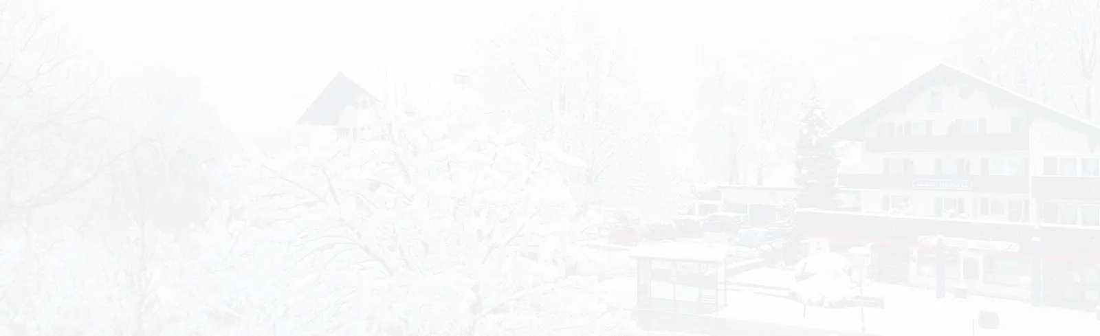 Soft winter view of the chalet exterior.